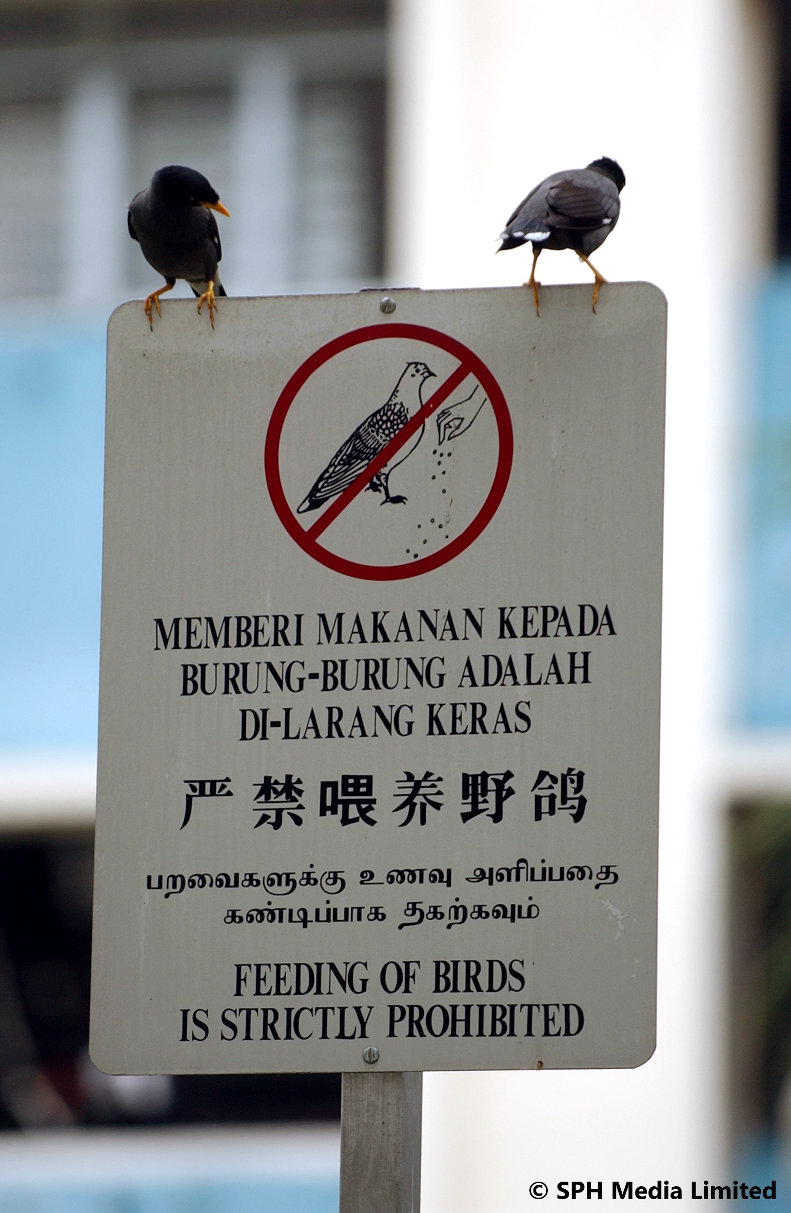 Ang Mo Kio Town Council EArticles